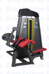 ALPHA AS-5204 BICEPS&TRICEPS MACHINE COMBO