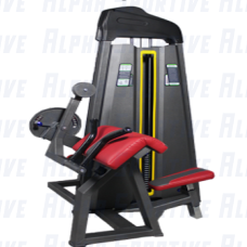 ALPHA AS-5204 BICEPS&TRICEPS MACHINE COMBO